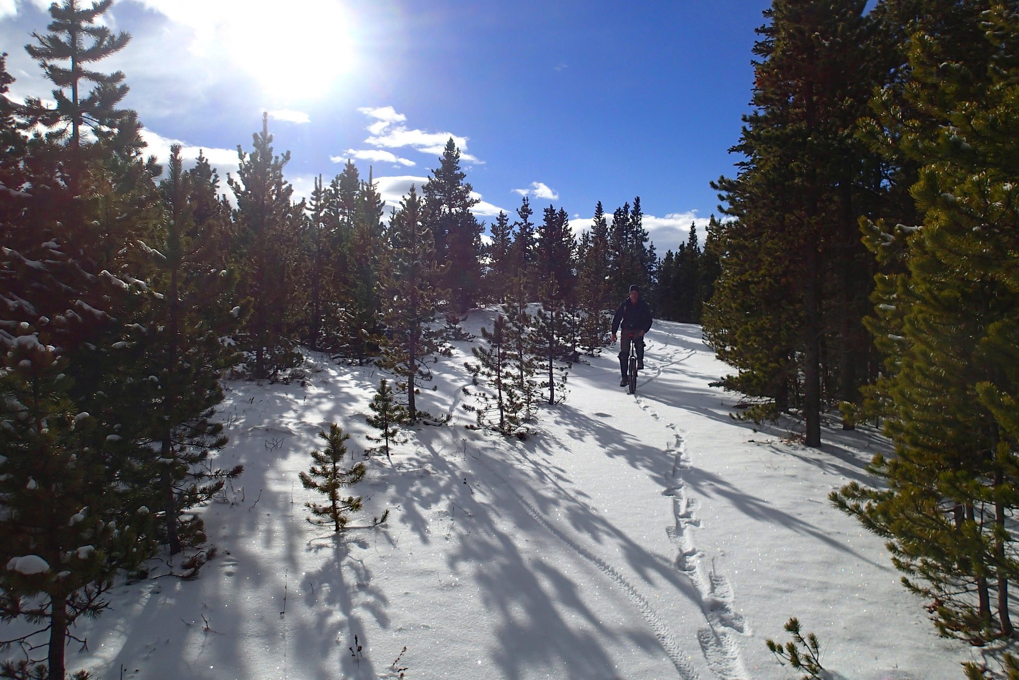 Mountain Unicycling