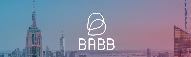 Image result for ico babb