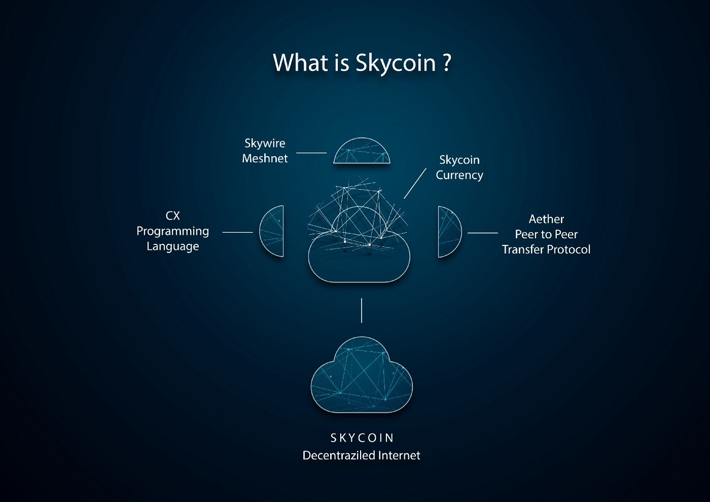 Skycoin: The real bitcoin and the best cryptocurrency out ...