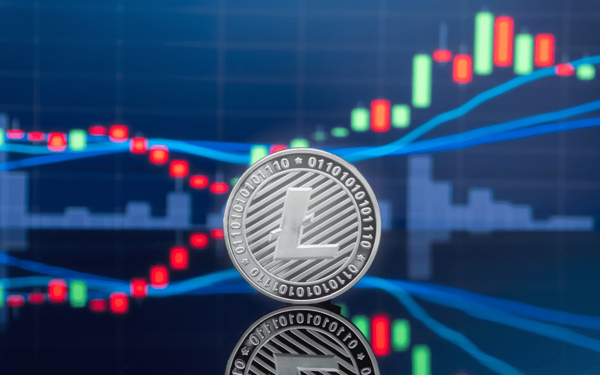 STEEM POSTS