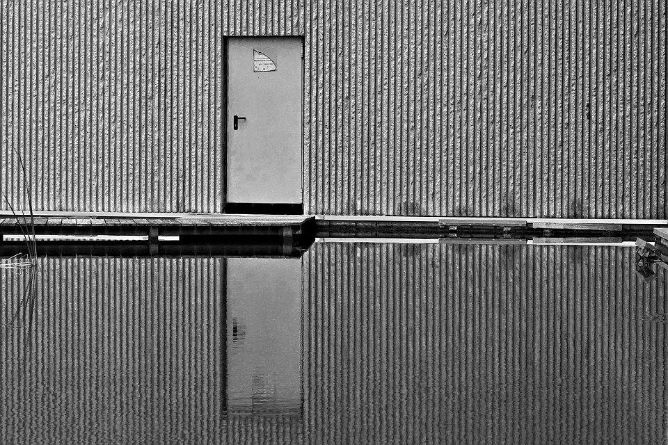 Reflected Door