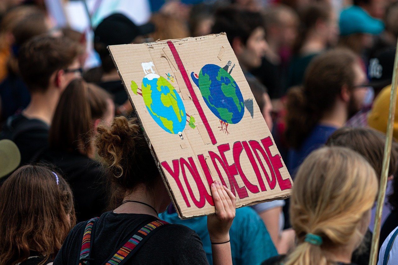 Dimostrazione, Fridays For Future