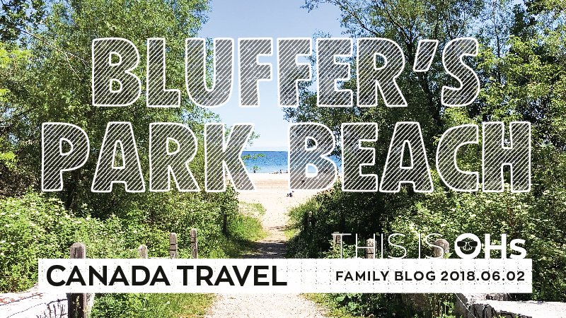 bluffers-thumbnail-steemit-04.jpg