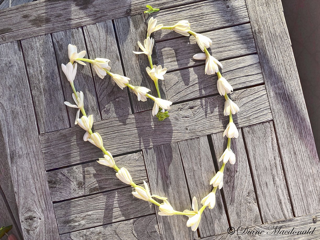 heart garland.jpg