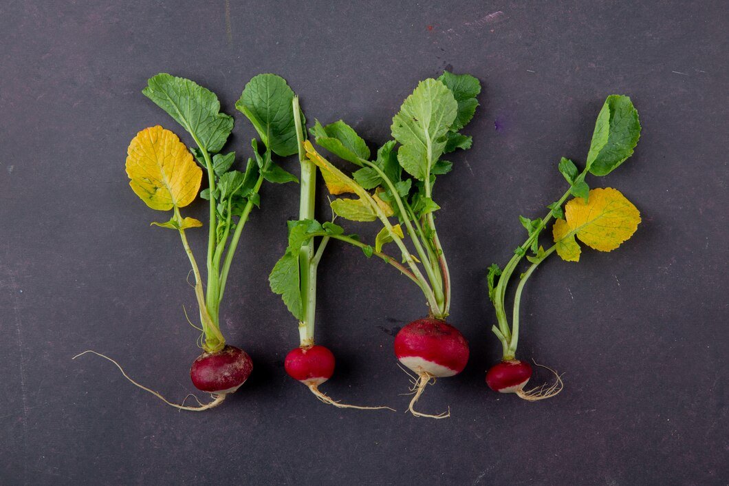 top-view-radishes-maroon-background_141793-5812.jpg