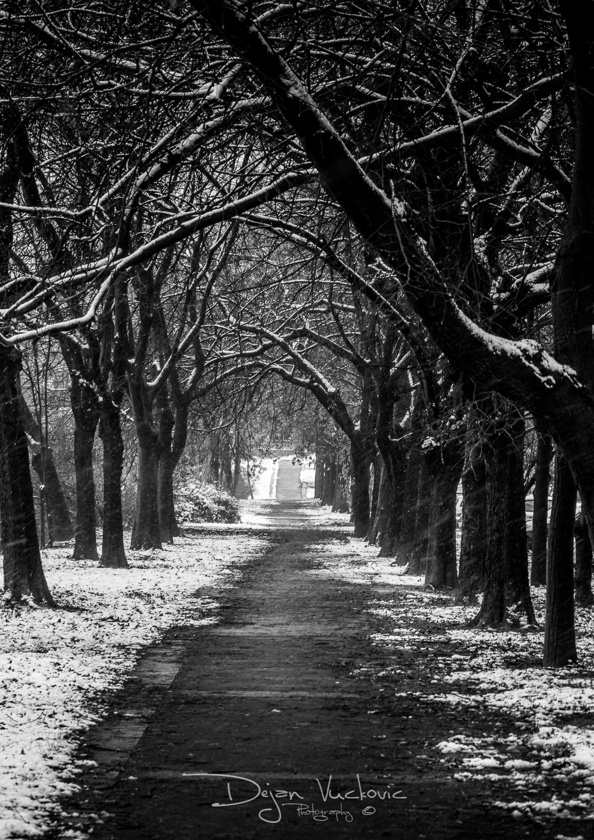 DSC07696bw.jpg