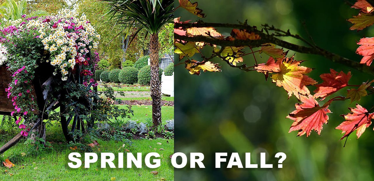 spring or fall.jpg