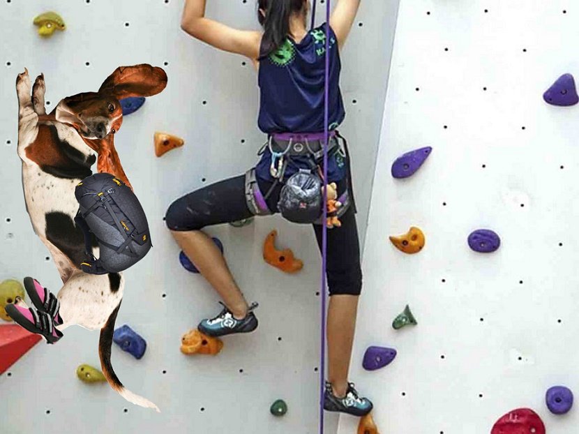 escalando pared.jpg