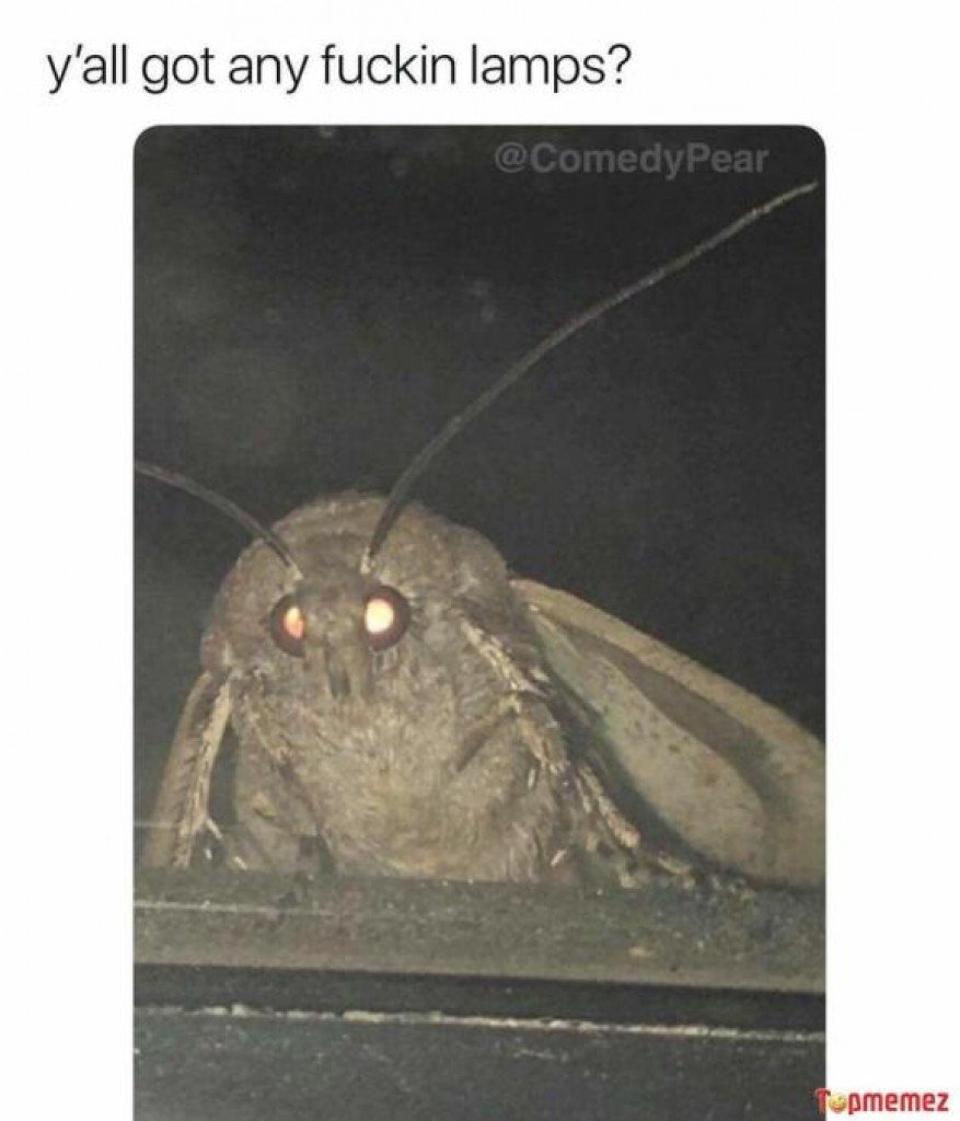 9-29 Moth Lamp.jpg