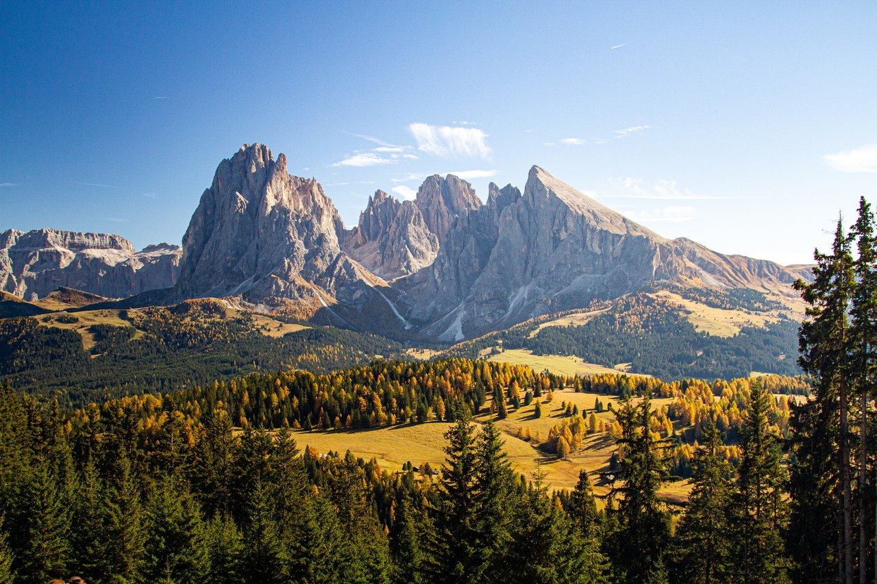 bellissimo-colpo-di-colline-erbose-coperte-di-alberi-vicino-alle-montagne-delle-dolomiti-in-italia.jpg