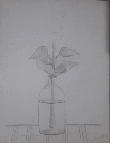 ezgif.com-gif-maker (7).gif