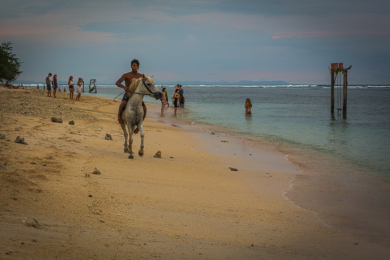 beach horses 3.jpg