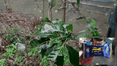 GIF_20250516_215009_570.gif