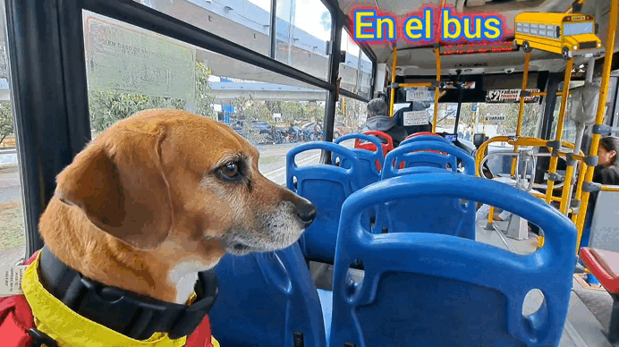 1000032416.gif