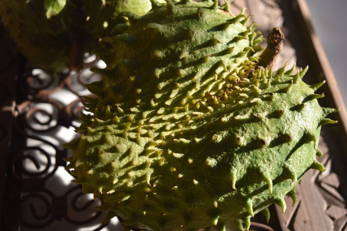 Soursop-3.jpg