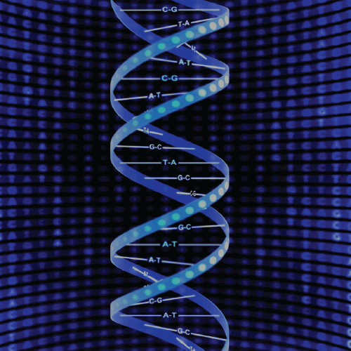 DNA Sequencing Market.gif