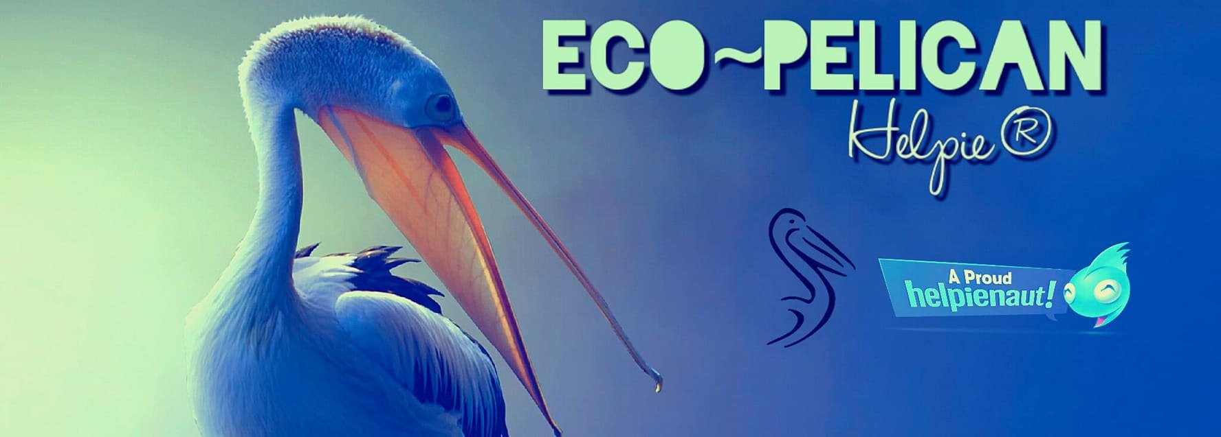 eco 2.jpg