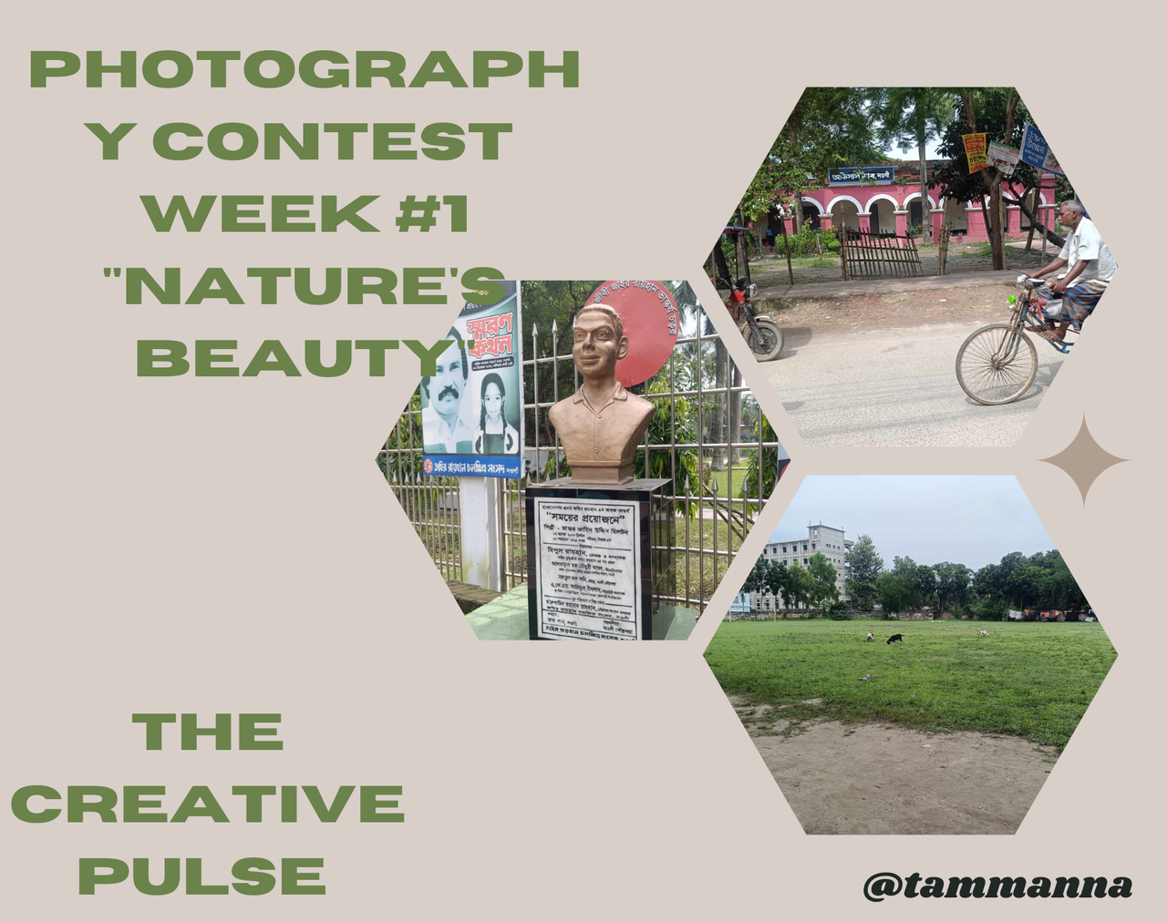 Photography Contest Week #1 Nature's Beauty.png