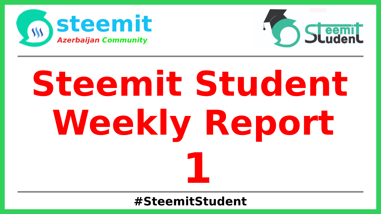 student program weekly report.png