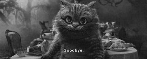 Funny-Cat-Says-Goodbye-Gif-Image.gif