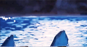 Double Dolphin Powered-giphy.gif