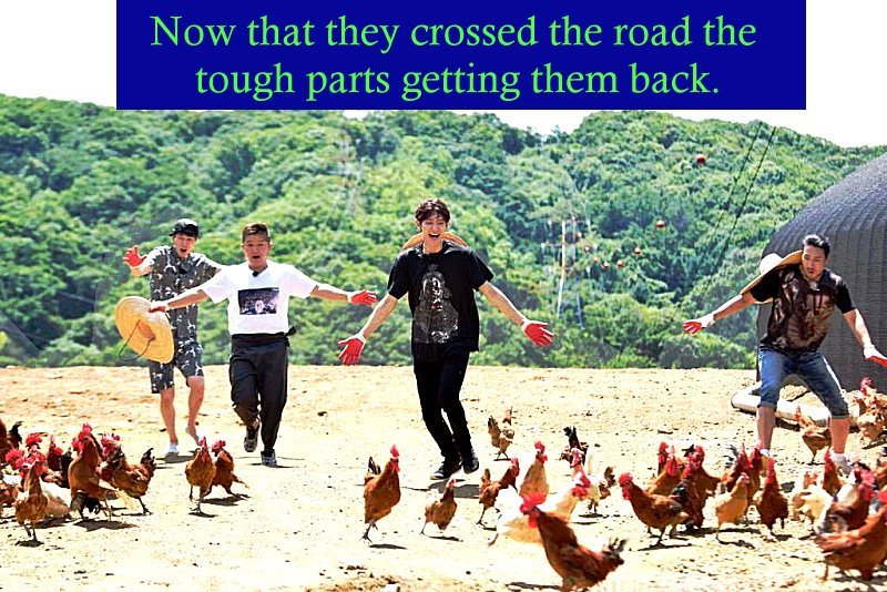 chkrun_hen_herding.jpg