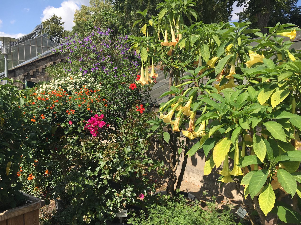 Unterwegs Im Botanischen Garten Gottingen 2 3