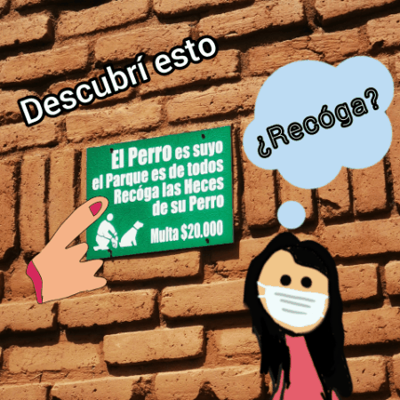 videotogif_2021.02.15_15.43.30.gif