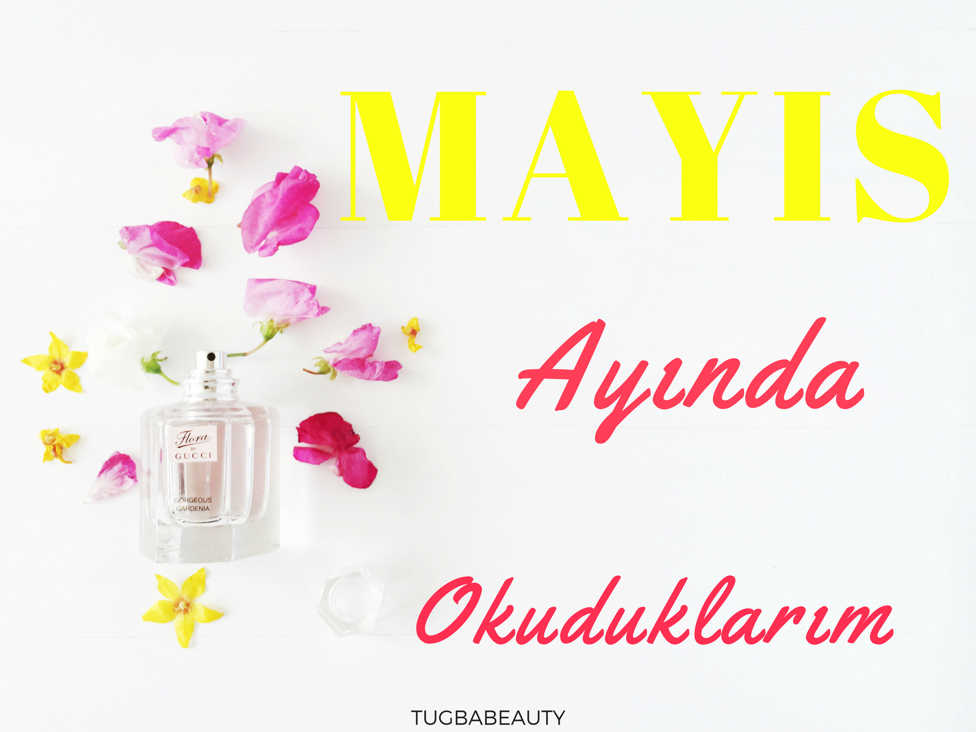 MAYIS.png