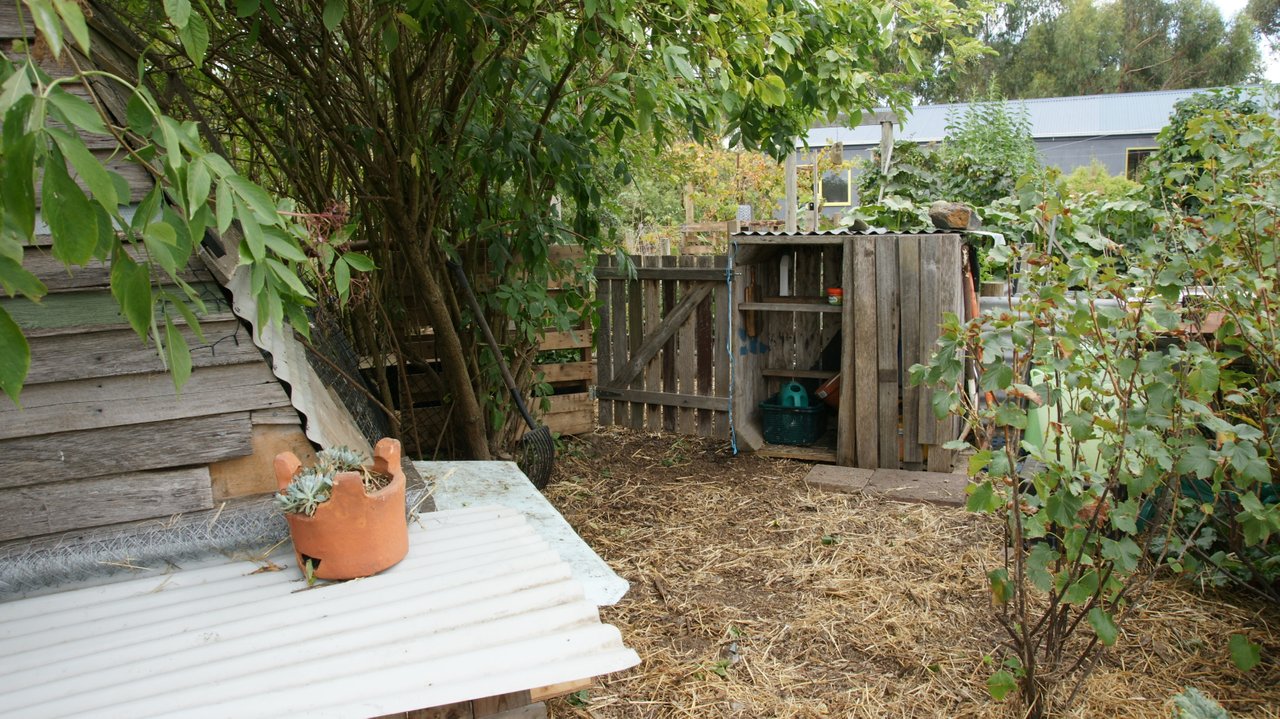 DSC07093.JPG