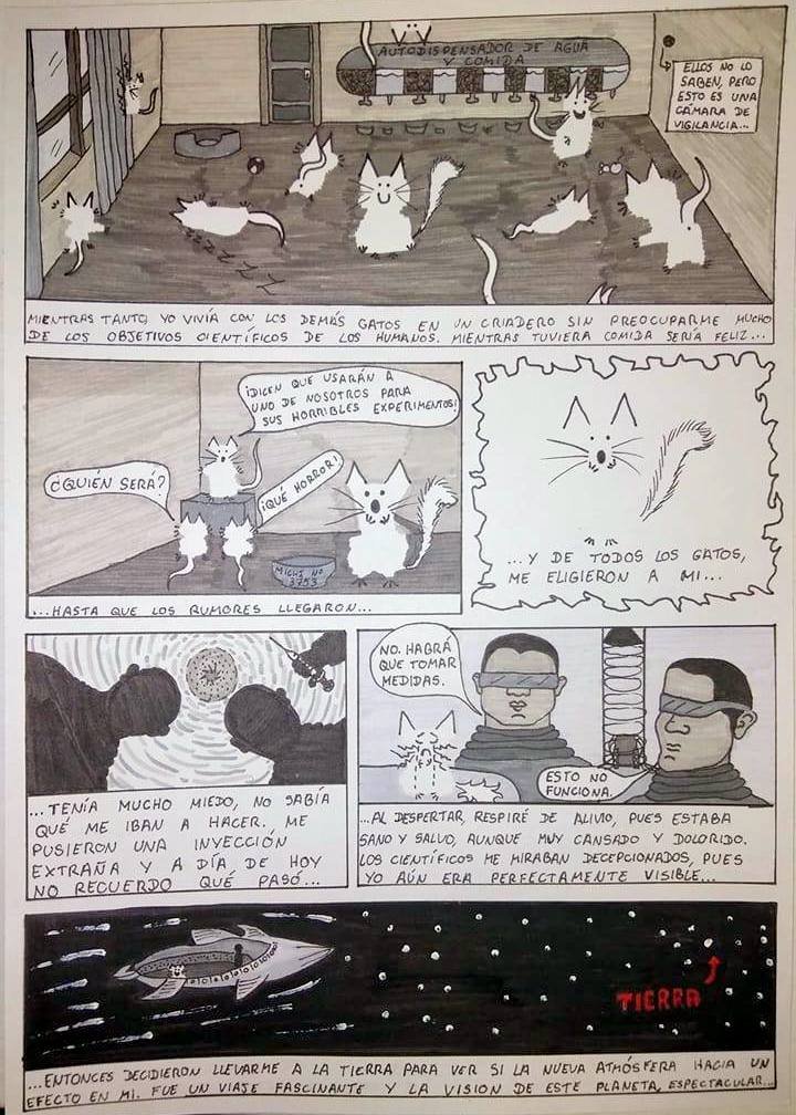 PAG 2.jpg