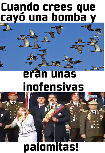 palomitas.png