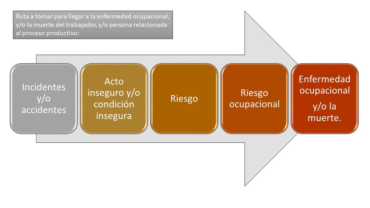 Ruta a tomar para llegar a la enfermedad ocupacional o muerte del trabajador.jpg