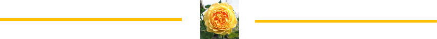 separador de flor.png