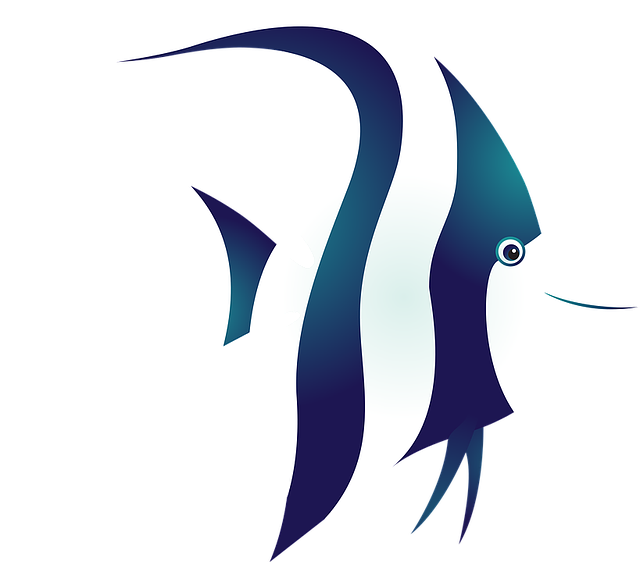 fish-1331807_640.png