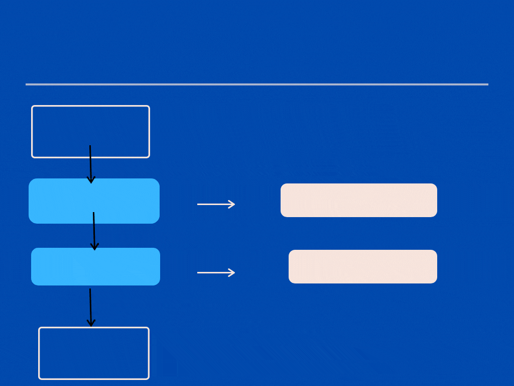 Estructura Condicional (2).gif