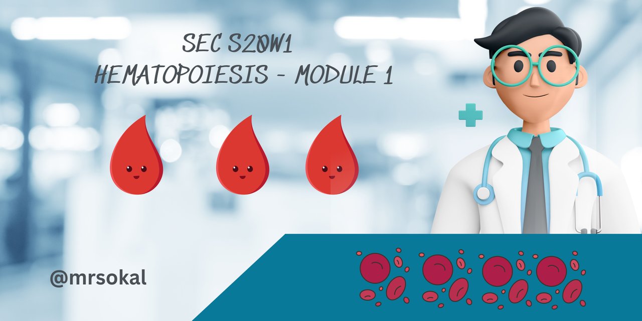 SEC S20W1   Hematopoiesis - Module 1.jpg