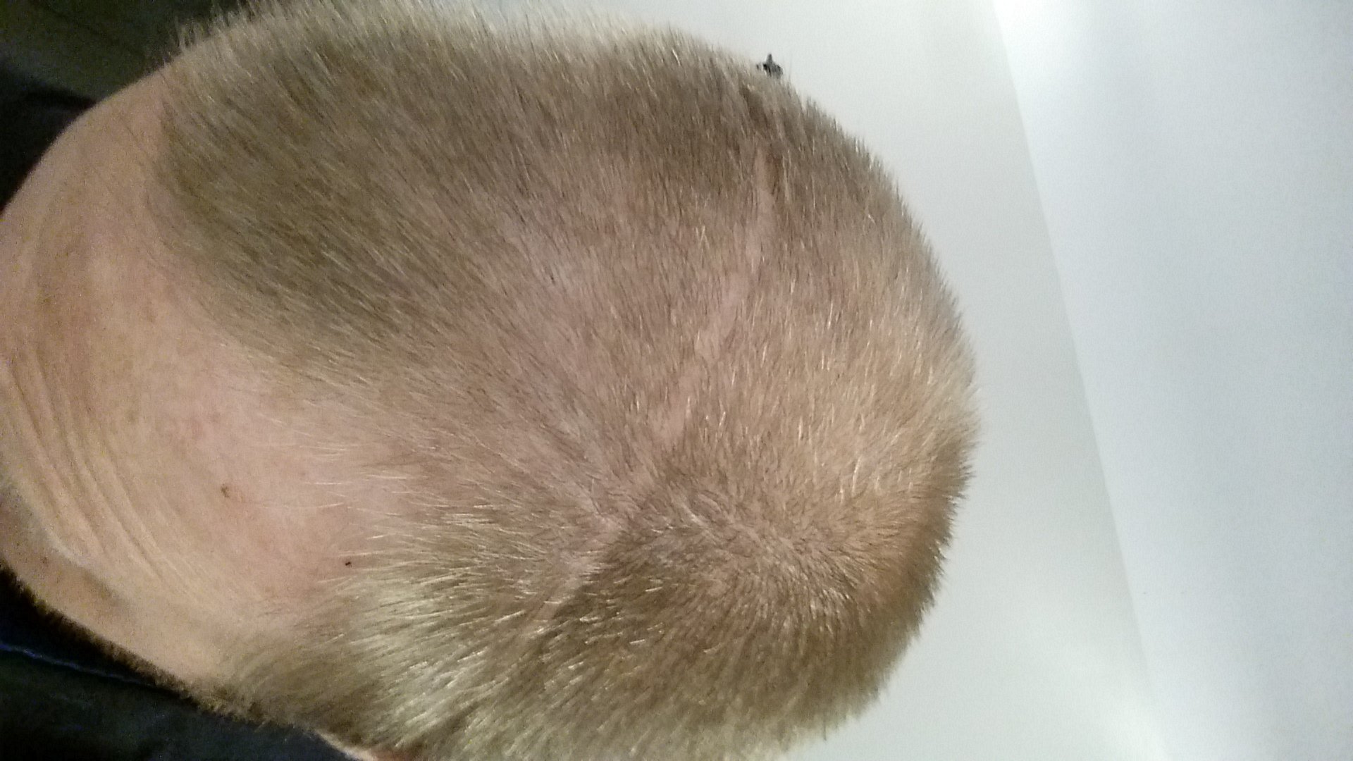 20180425_090606.jpg
