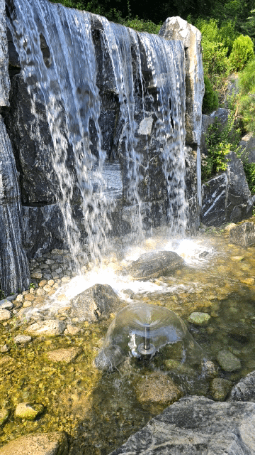 1000132186.gif