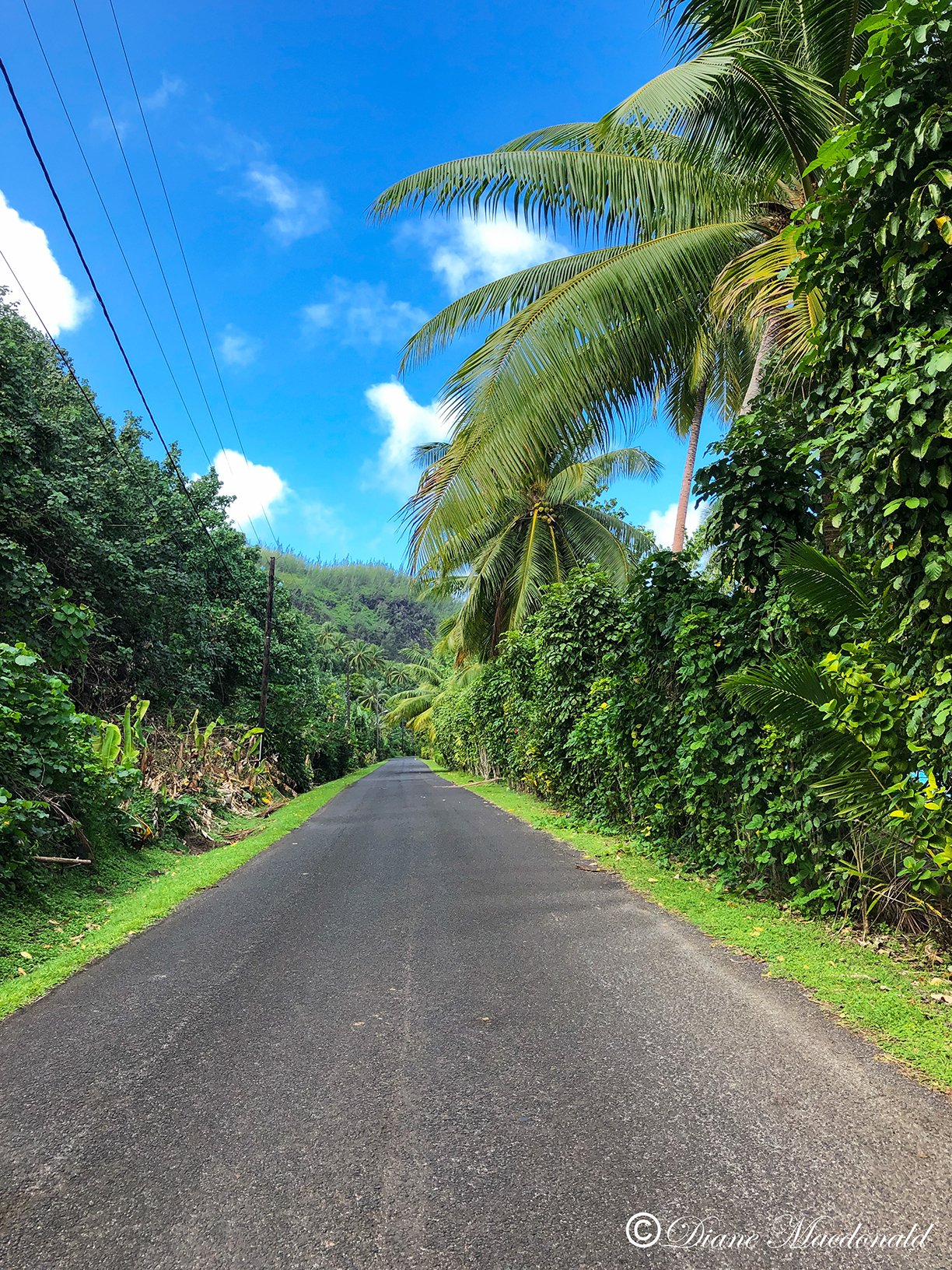 Huahine road-2.jpg