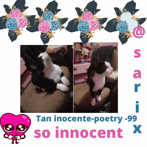 Tan inocente-poetry -99 (1).gif