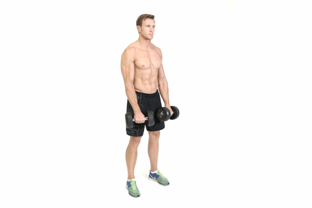 how-to-do-reverse-bicep-curls.gif