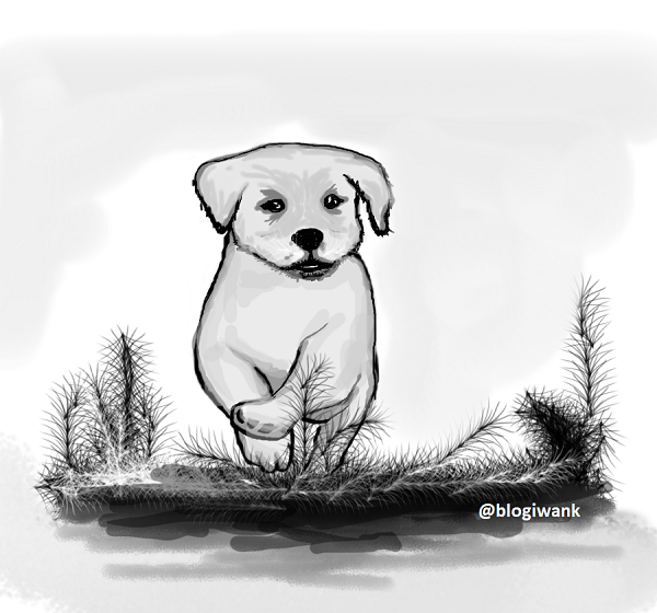 walking-dog-sketch-final.png