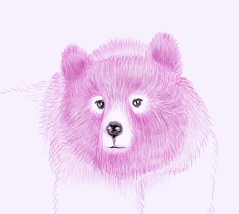 ORSO_ROSA_particolare.png