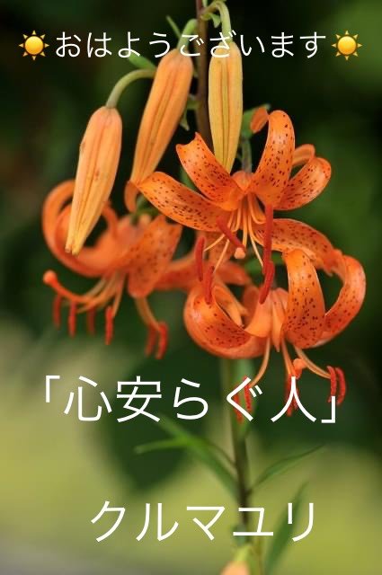 クルマユリの花言葉