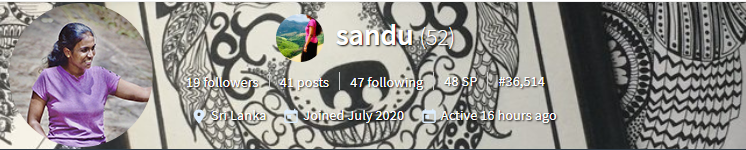 sanduni banner org.png