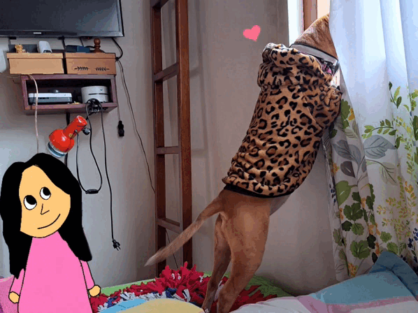 1000033883.gif