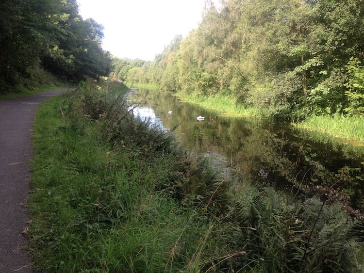Canal with swans copy.jpg