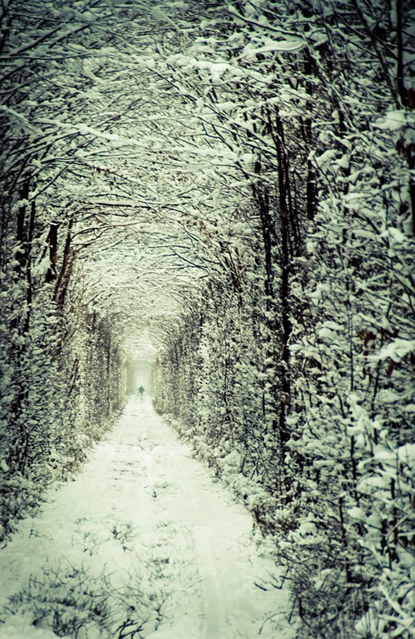 tunnel-of-love-ukraine-3.jpg
