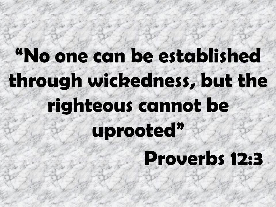 Wise teaching. No one can be established through wickedness, but the righteous cannot be uprooted. Proverbs 12,3.jpg